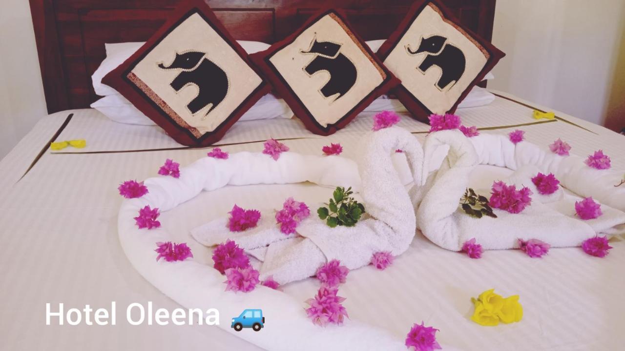 Oleena Home Stay Habarana Luaran gambar