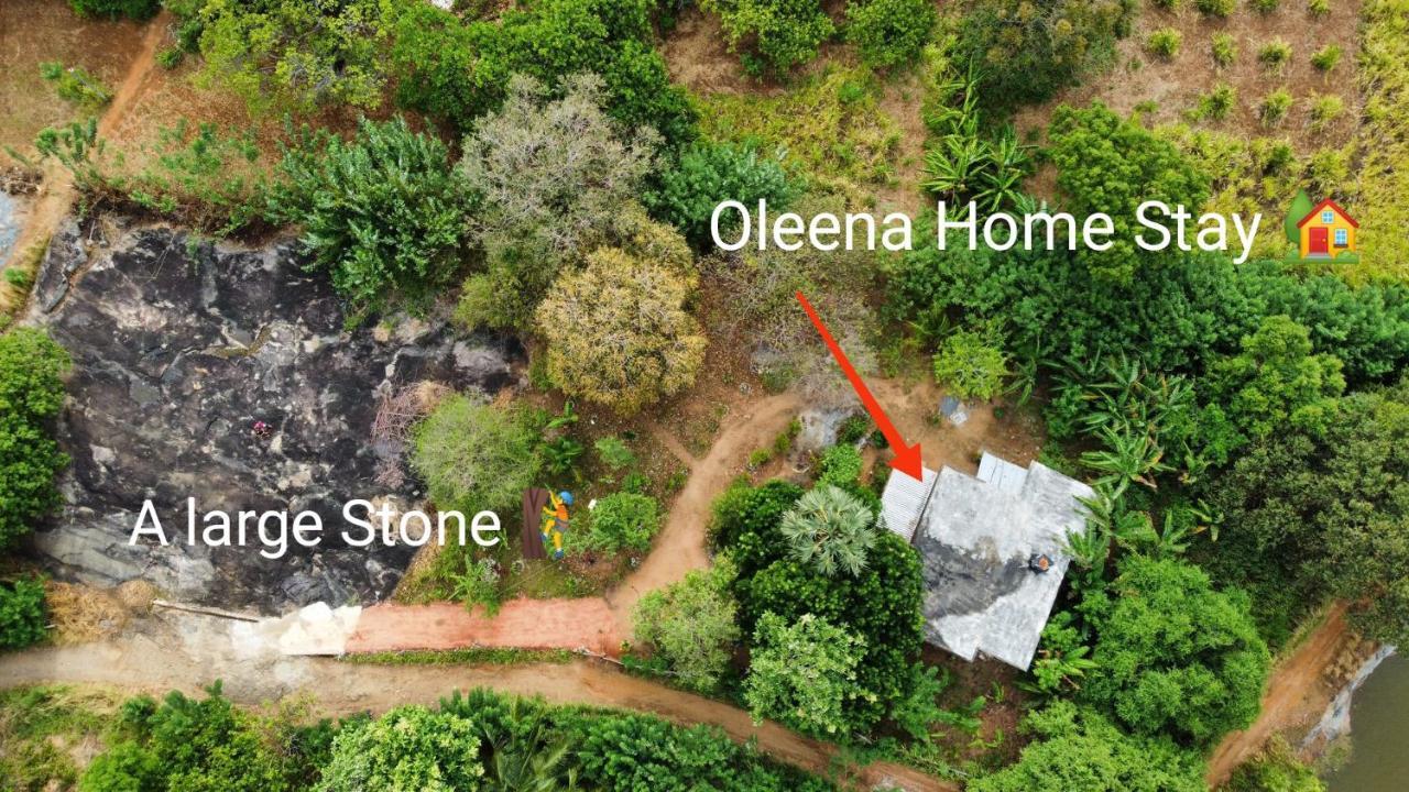 Oleena Home Stay Habarana Luaran gambar
