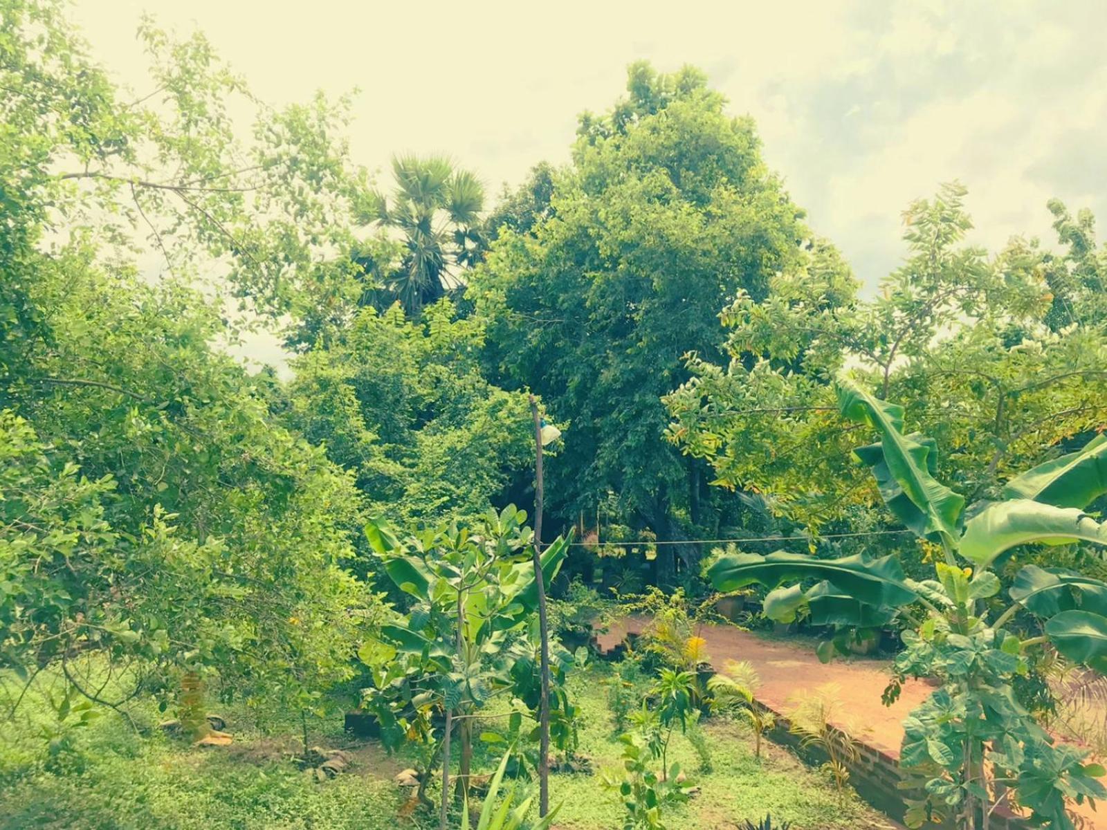 Oleena Home Stay Habarana Luaran gambar