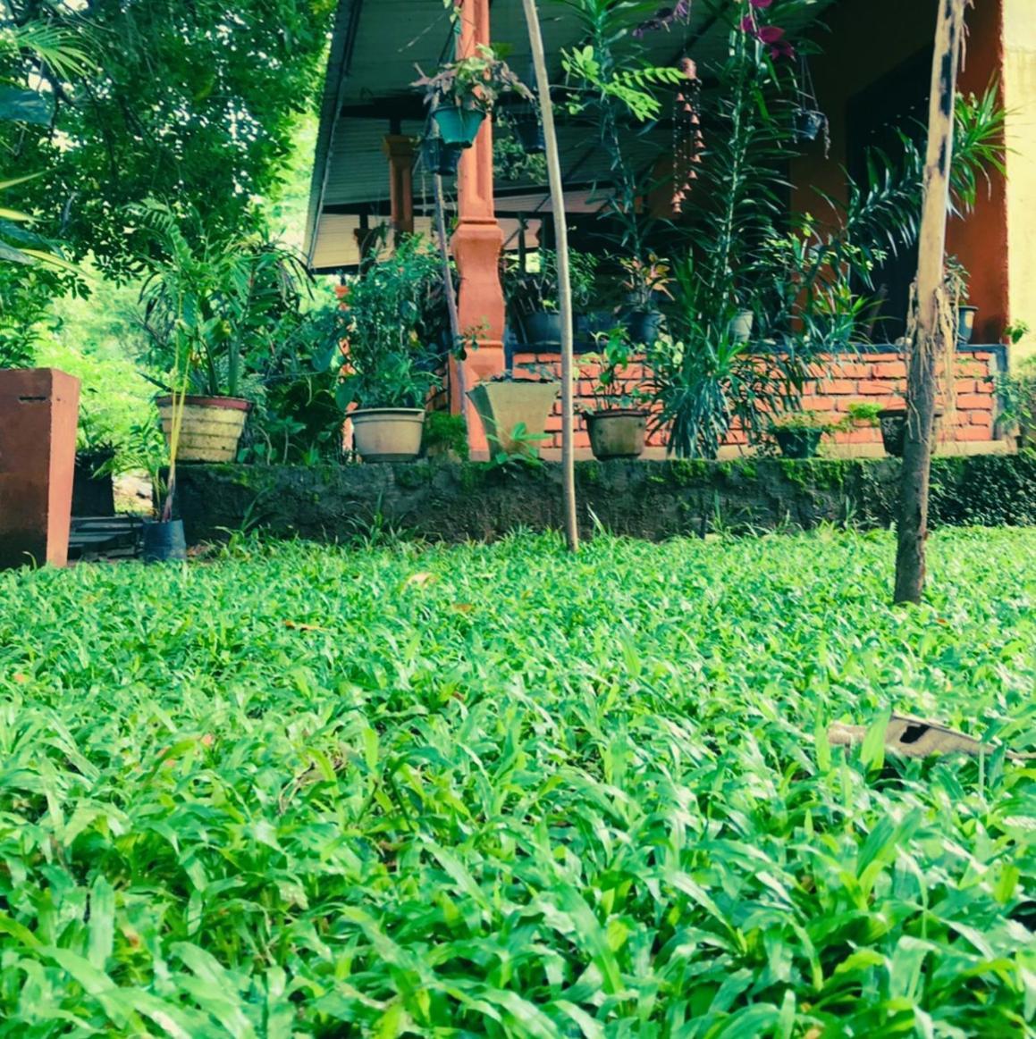 Oleena Home Stay Habarana Luaran gambar