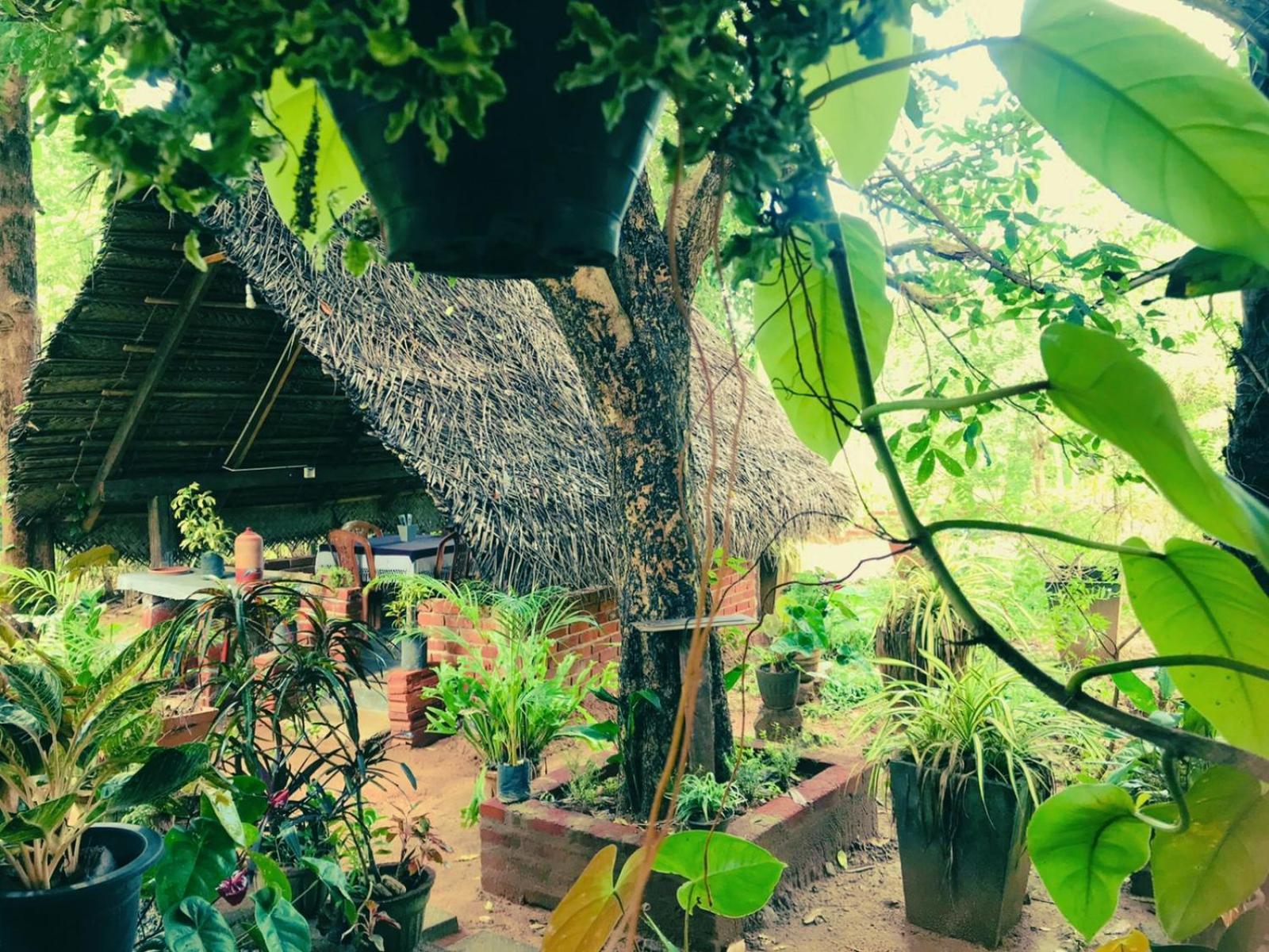 Oleena Home Stay Habarana Luaran gambar