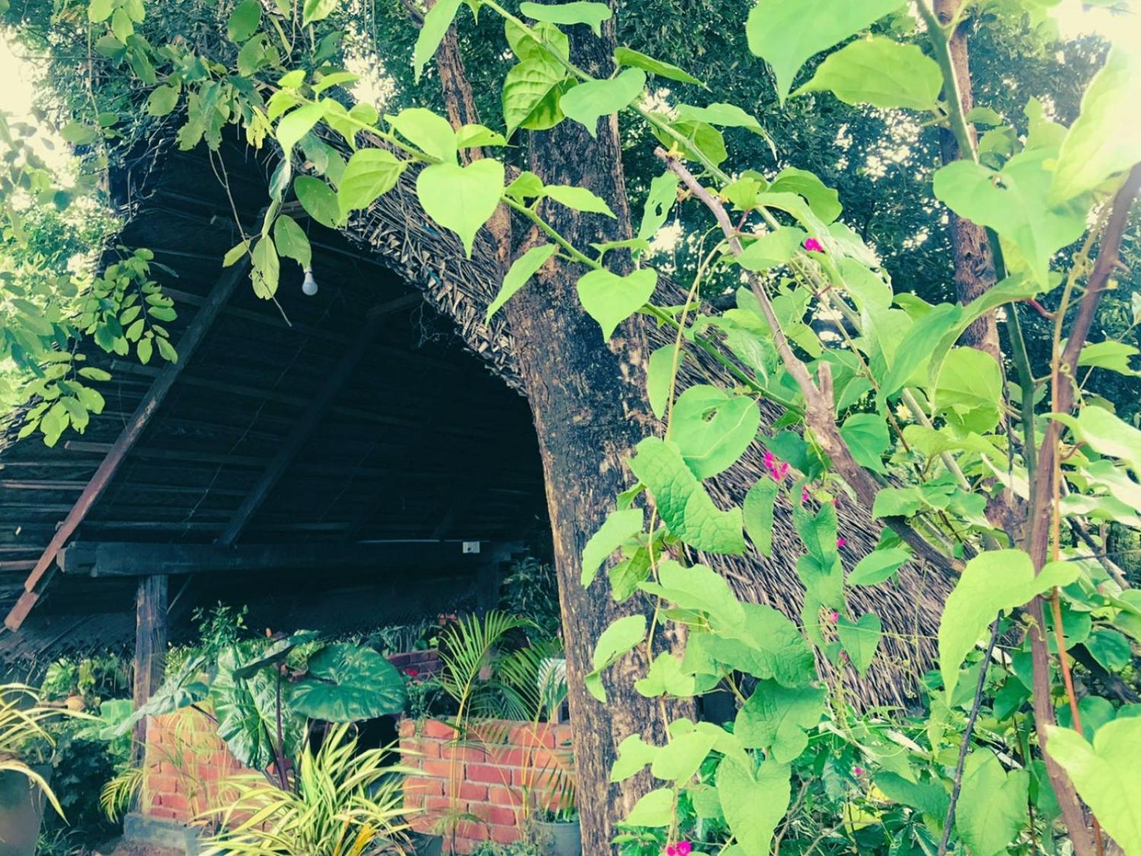 Oleena Home Stay Habarana Luaran gambar